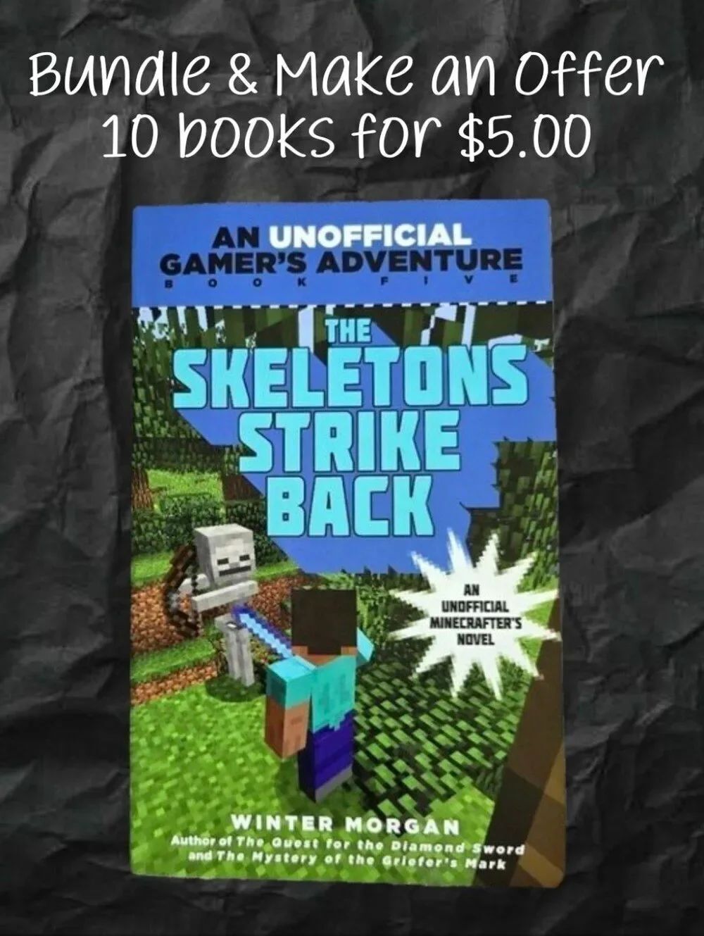 The Skeletons Strike Back Minecraft Book Kids Teen Youth Young Adult Gamer